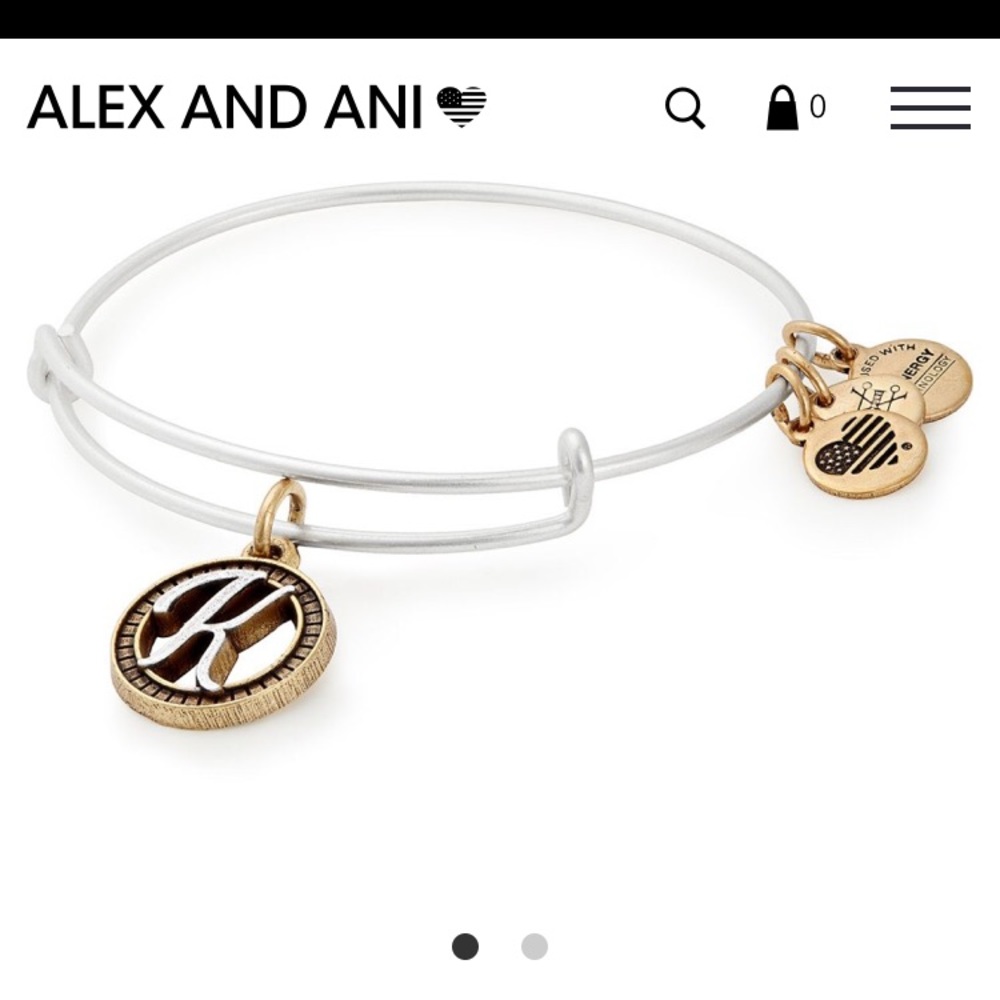 Alex and ani charm bracelet